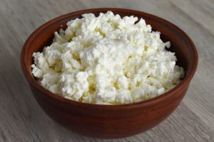 Cottage cheese for dogs