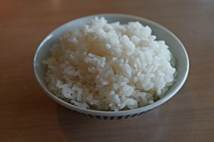 rice for dogs with upset stomach